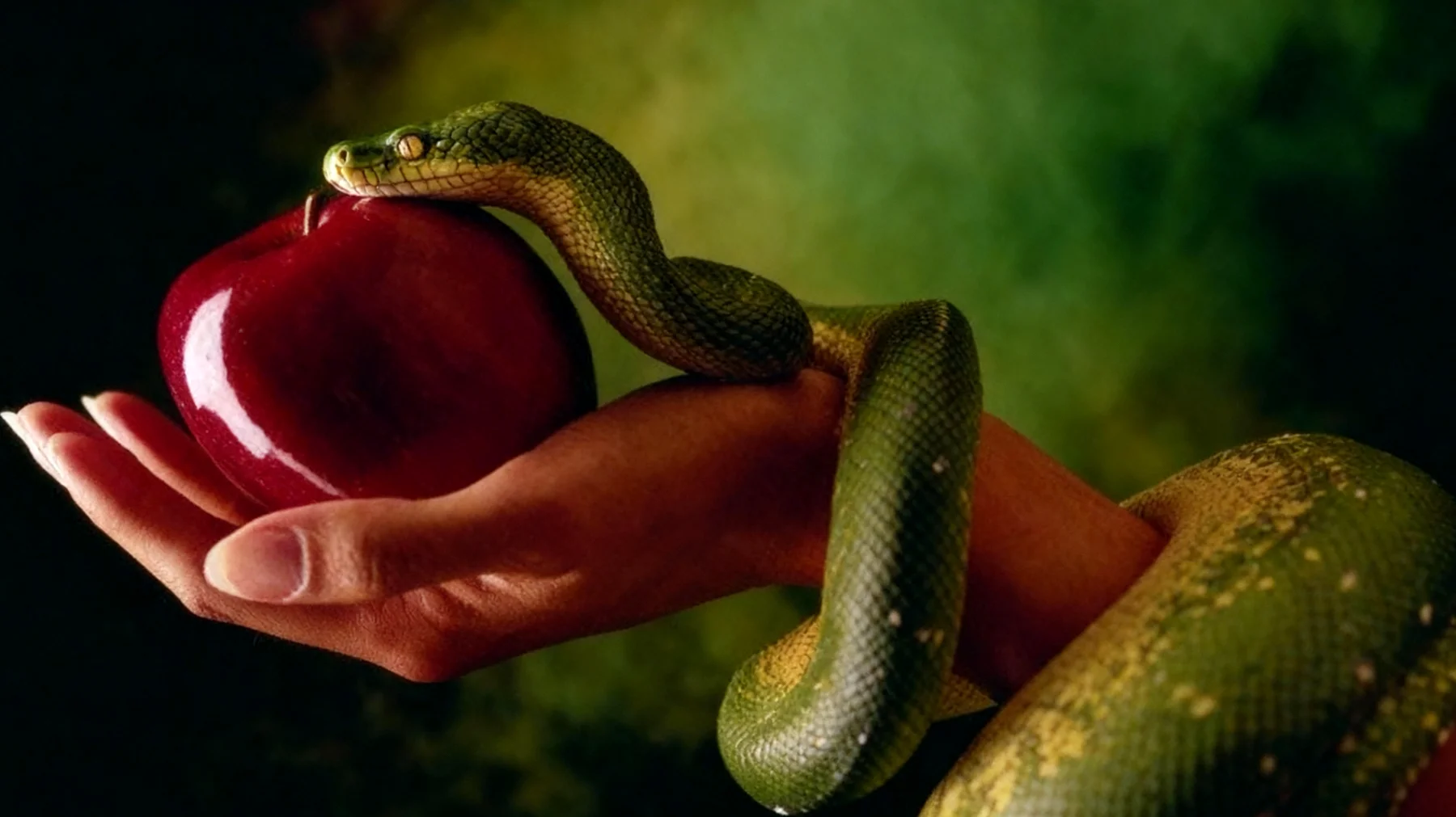 Forbidden Fruit2025-12-16T09:07:44.389Z"