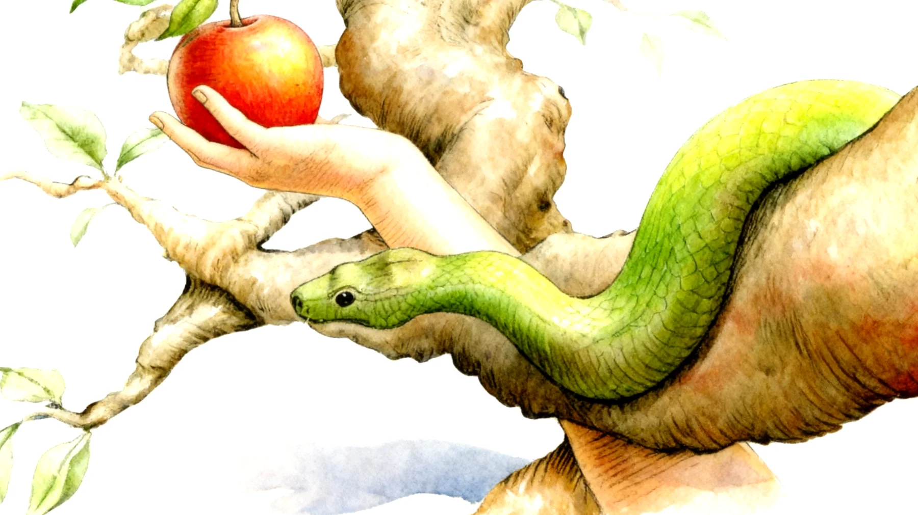 Forbidden Fruit2025-12-26T12:59:27.353Z"