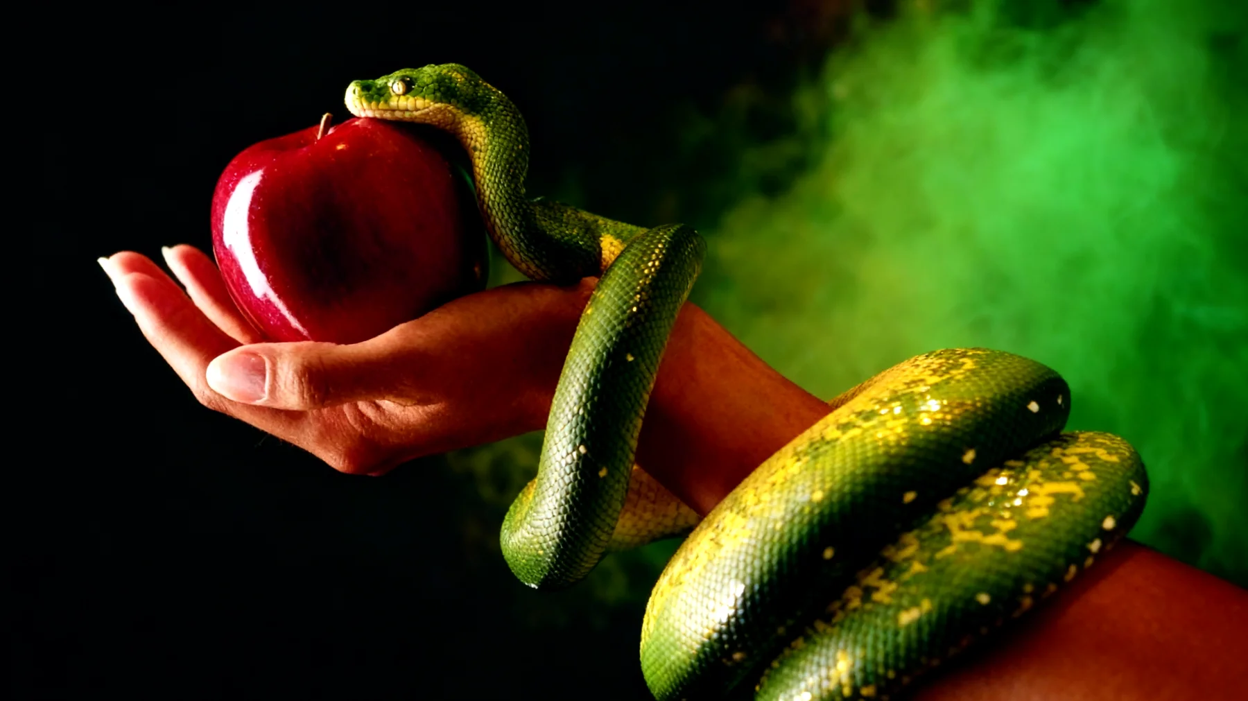 Forbidden Fruit2025-12-29T12:53:22.456Z"