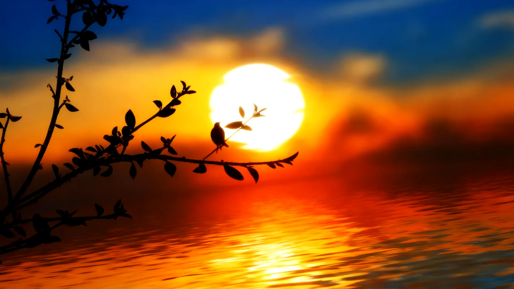 Beautiful 2026-01-04T12:31:55.058Z"