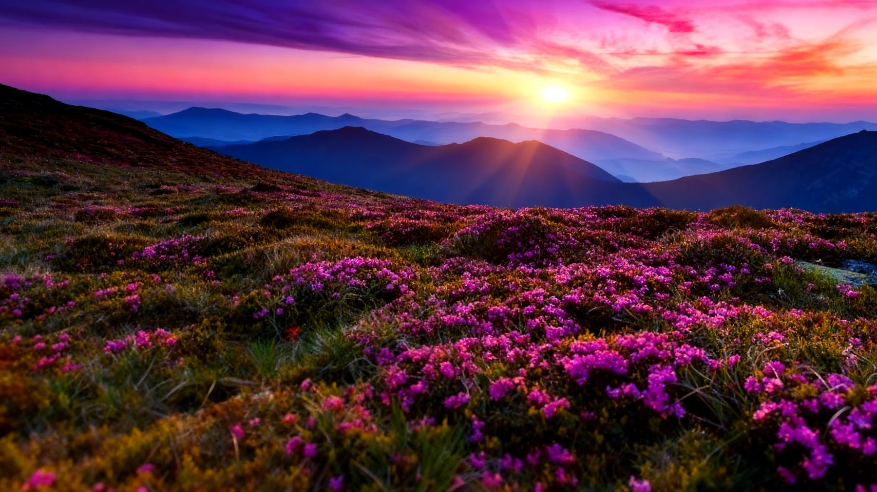 Beautiful 2026-01-14T12:32:50.791Z"