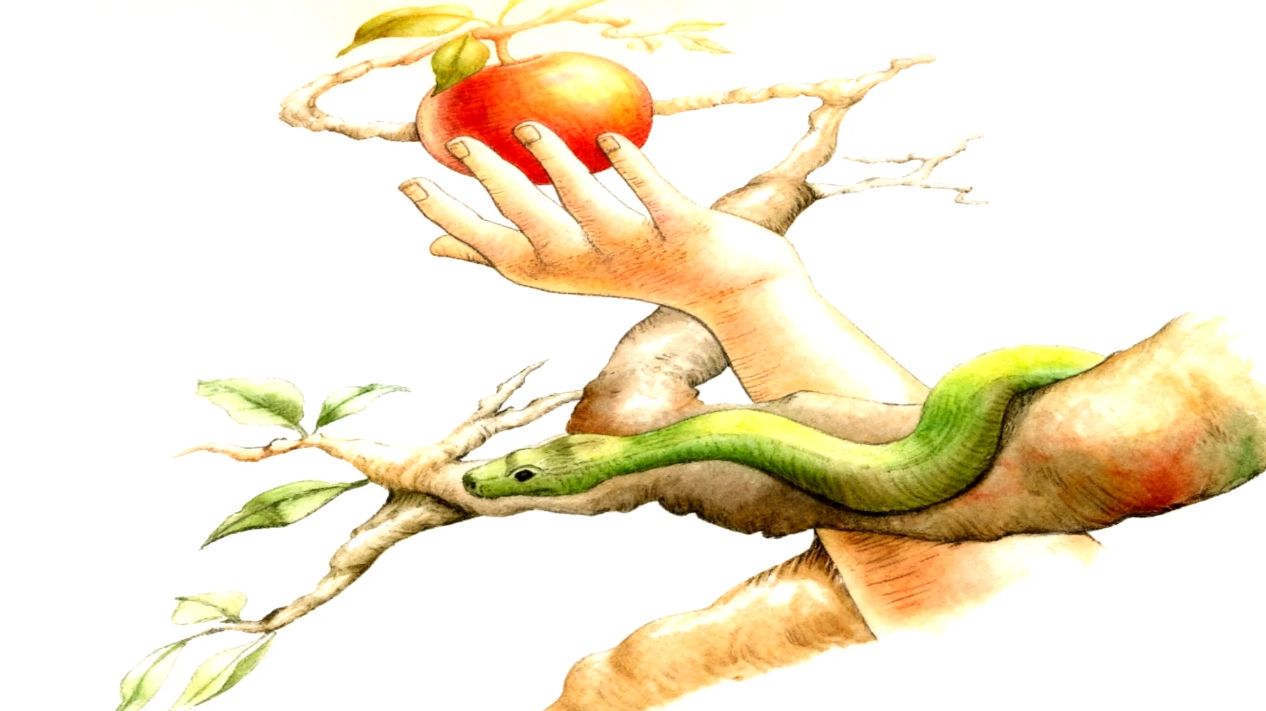 Forbidden Fruit2026-01-01T12:52:41.642Z"