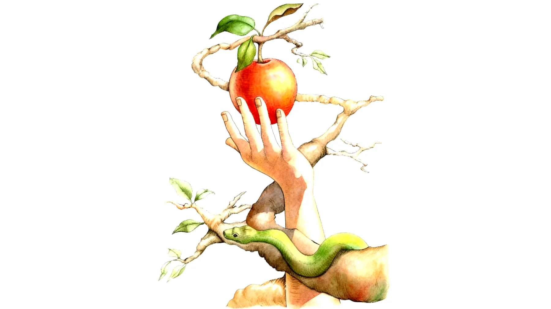 Forbidden Fruit2026-01-03T12:53:11.237Z"