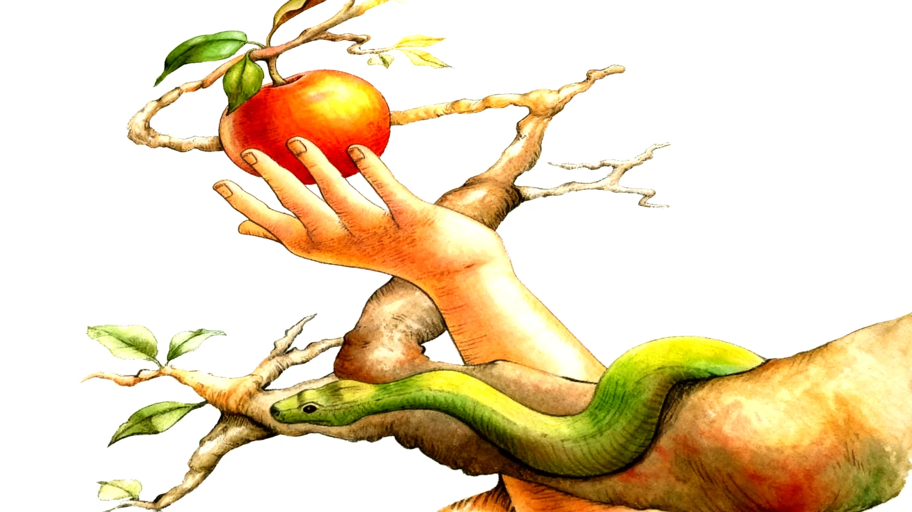 Forbidden Fruit2026-01-04T12:59:25.283Z"