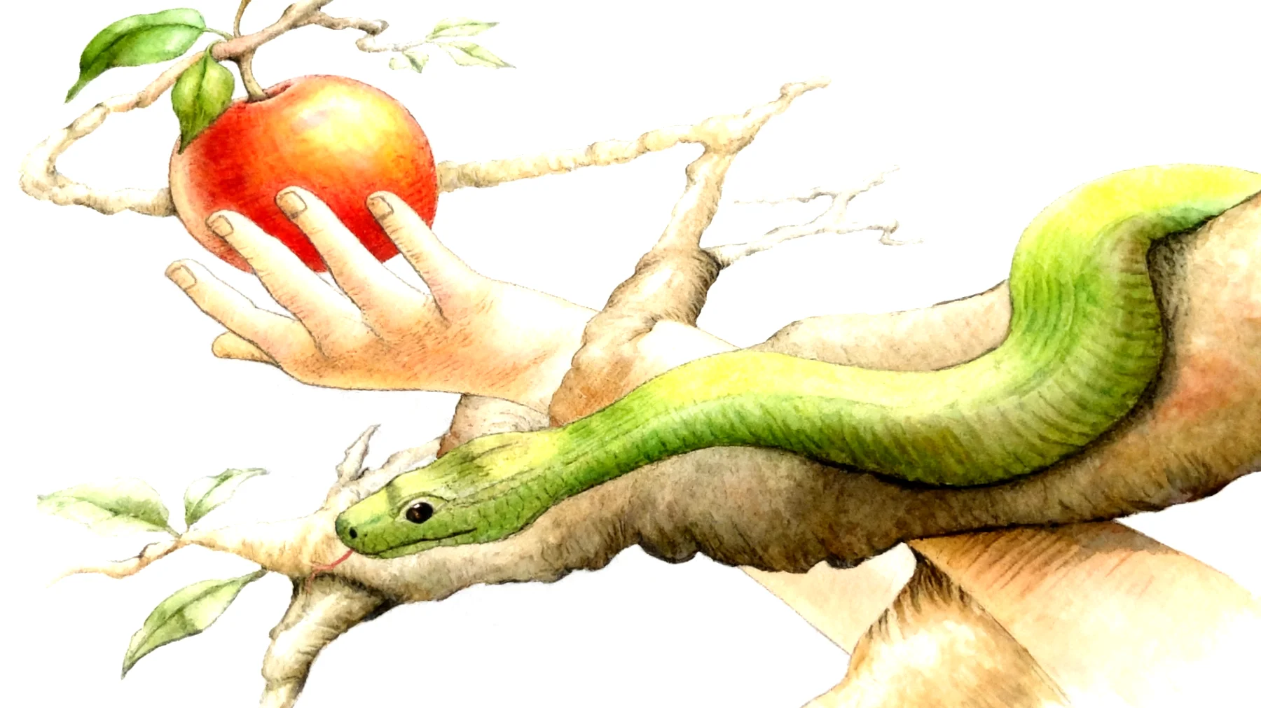 Forbidden Fruit2026-01-16T12:48:26.556Z"