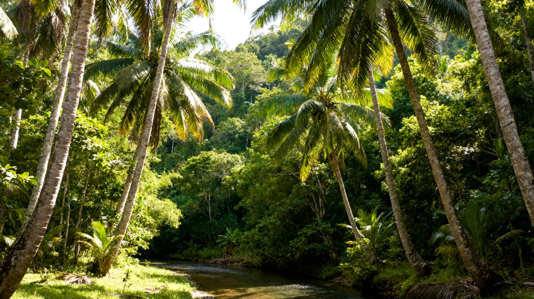 Parco Nazionale di Coron e Busuanga"